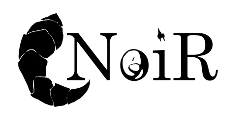 NoiR Clothing logo